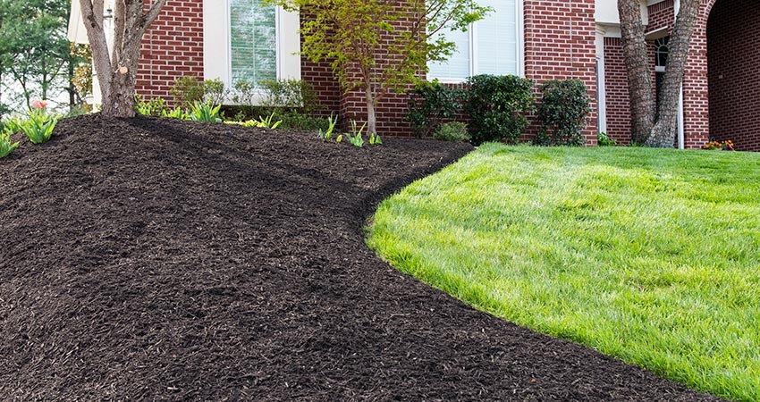 Mulch and lawn landscape work